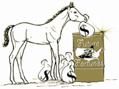 Future Fortunes Inc